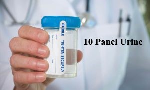 10 panel urine